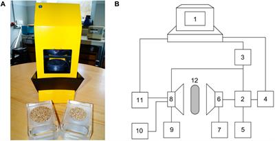 Acoustic-Based Screening Method for the Detection of Total Aflatoxin in Corn and Biological Detoxification in <mark class="highlighted">Bioethanol Production</mark>